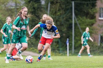Bild 214 - wBJ Hamburger SV - SV Werder Bremen : Ergebnis: 2:2